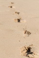 Footprints on the sand