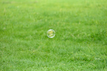 Flying soap bubbles against the grass background with relection