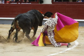 Foto op Plexiglas Stierenvechten stier in de arena