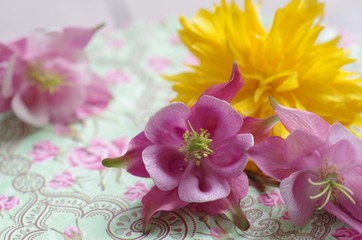 Fototapeta na wymiar Romantische Blüten in Rosa und Gelb als Hintergrund