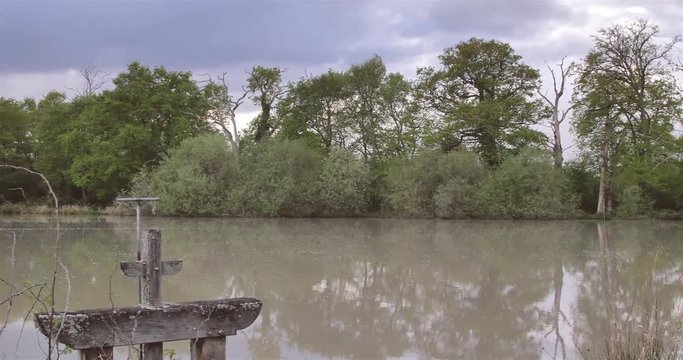 Etang des oies 01