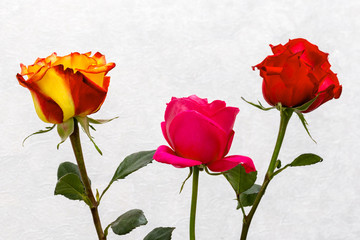three flowers roses