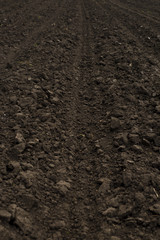 plowed field soil