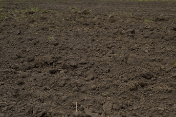 plowed field soil