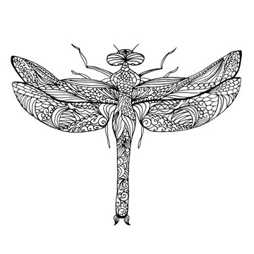 Zentangle stylized dragonfly. Ethnic patterned vector illustration.