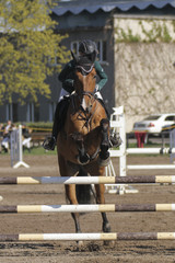 Horse jump a hurdle in a competition 