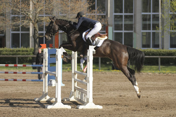 Horse jump a hurdle in a competition