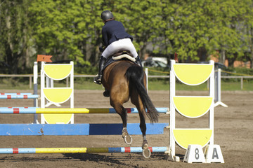 Horse jump a hurdle in a competition 