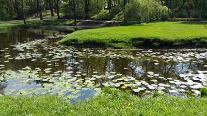 City park under sunny light 