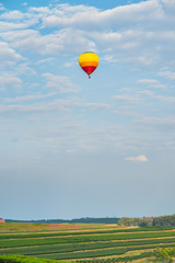 Tea Plantations, Spring, Sky and Hot Air Balloon