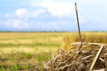Needle in a Haystack.