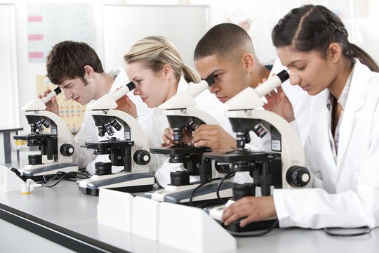 Biology lesson