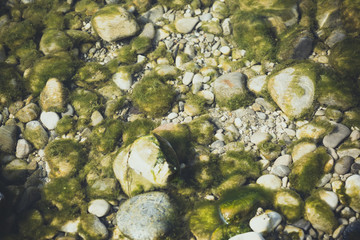 steine Unterwasser mit Algen bedeckt