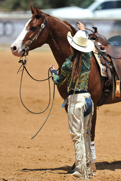 The western style rider with cowboy chaps and hat is caring for her horse