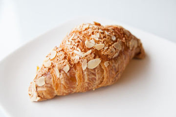 Fresh croissant on white plate