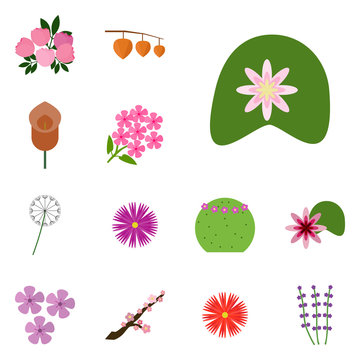 Icon set blossom. Vector icon blossom. Images blossom. Icon water lily,