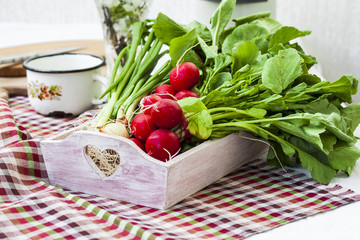 bundle of  bright fresh organic radishes with leaves