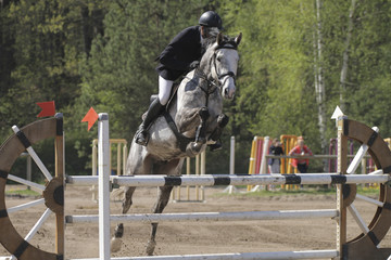 Horse jump a hurdle in a competition