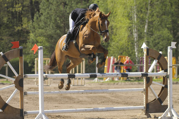 Horse jump a hurdle in a competition