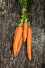 Karotten im Bund - Bio Gemüse