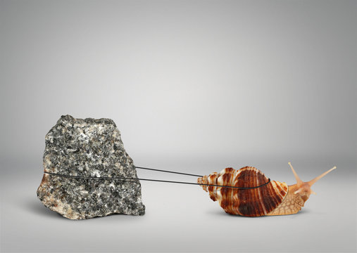 Snail pulling big stone, slowly persistence concept