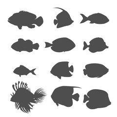 Set of Sea Fish Color Design Flat