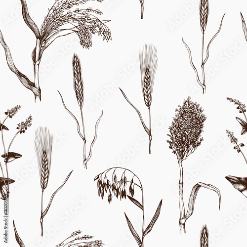 "Vector seamless pattern with hand drawn cereal crops sketches. Vintage