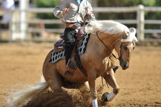 The front view of a rider in cowboy chaps and boots on a horseback running ahead in the dust.