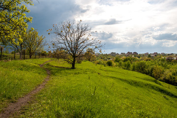 Fototapeta na wymiar Spring landscape with footpath before the rain