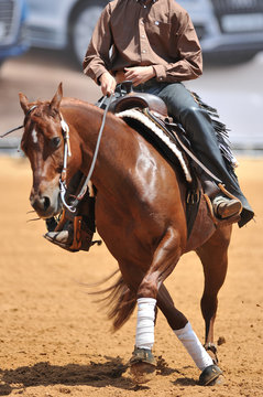 The front view of a rider in the chaps on a horseback during the NRHA competition.