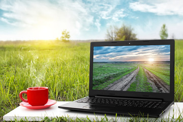 Laptop and cup of hot coffee on the background picturesque nature, outdoor office. Travel concept. Business ideas. The rest of nature. Agriculture and agribusiness.