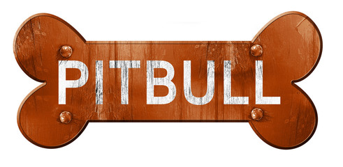 Pitbull, 3D rendering, rough brown dog bone