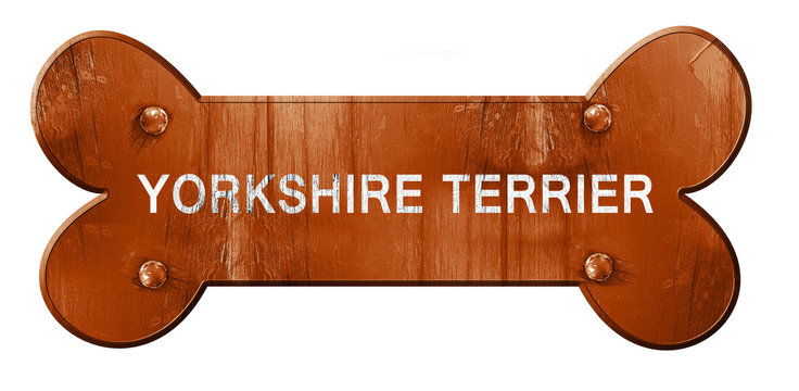 Yorkshire terrier, 3D rendering, rough brown dog bone