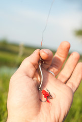 bait for catching predatory fish in hand on background of  grass