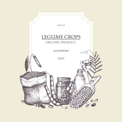 Vector colorful design with ink hand drawn legume crops sketches. Vintage illustration with legumes and legume products. Farm fresh and organic food template.