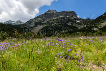 Pirin Mountain Landscape, Bulgaria