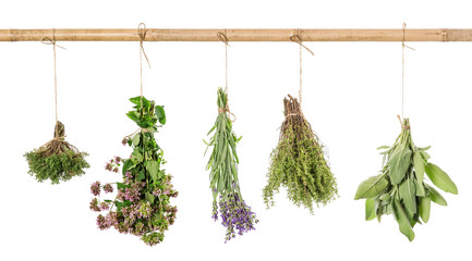 Herbs fresh hanging isolated white background