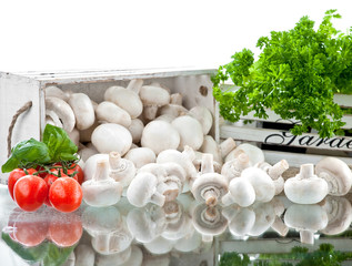 champignon on white background © Olo