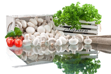 champignon on white background © Olo