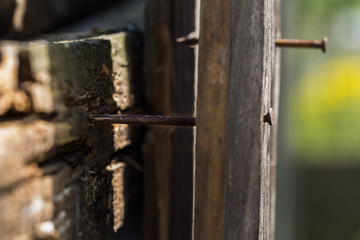 wooden Board with a rusty nail