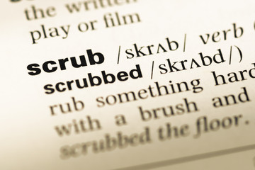 Obraz premium Close up of old English dictionary page with word scrub