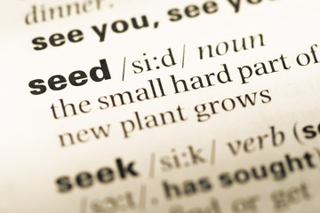 Obraz premium Close up of old English dictionary page with word seed