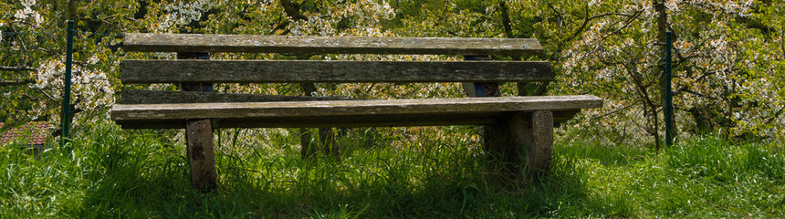 Naklejka premium Landscape