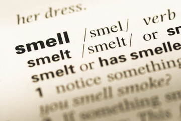 Close up of old English dictionary page with word smell