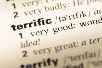 Close up of old English dictionary page with word terrific