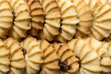 fresh delicious round cookies close-up big group