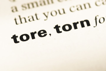 Obraz premium Close up of old English dictionary page with word tore torn