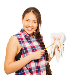 Smiling Asian girl with pointer and tooth model