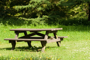 Picnic table in a sunny forest clearing