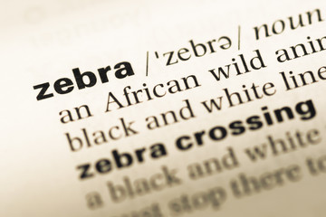 Close up of old English dictionary page with word zebra